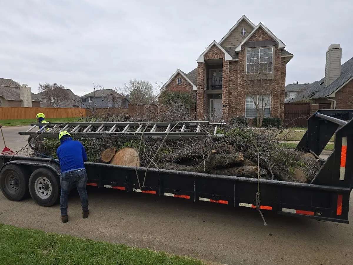 Expert Tree Fertilization with proper safety equipment in Matthews